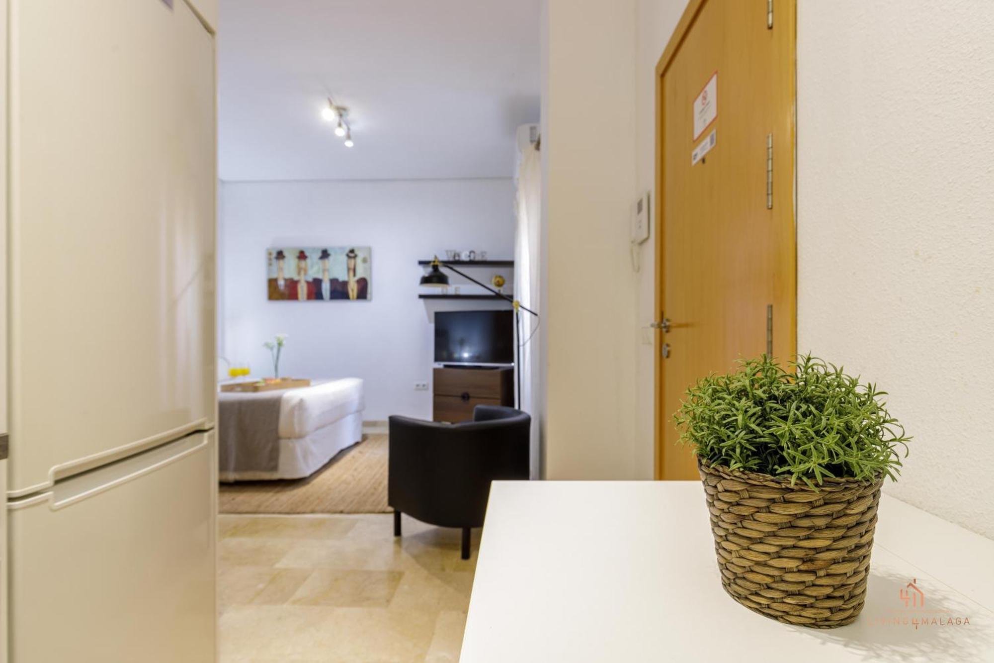 Living4malaga The Secret Apartament